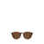 Ralph Lauren Polo Ralph Lauren Sunglasses SHINY ANTIQUE HAVANA