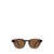 CHIMI Chimi Sunglasses TORTOISE