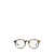 Ralph Lauren Polo Ralph Lauren Eyeglasses SHINY MILKY YELLOW HAVANA