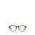 Ralph Lauren Polo Ralph Lauren Eyeglasses SHINY RED HAVANA