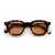 Gast Gast  Mente Sunglasses ME03 HAVANA