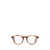 Ralph Lauren Polo Ralph Lauren Eyeglasses SHINY STRIPED HAVANA