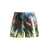 Paul Smith Paul Smith Printed Swim Shorts MULTICOLOR