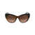 Trussardi Trussardi Sunglasses 0AGG BROWN