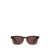 ZEGNA Zegna Sunglasses LIGHT BROWN / GRADIENT / SHINY DARK BROWN