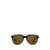 Tom Ford Tom Ford Eyewear Sunglasses COLOURED HAVANA