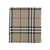 Burberry Burberry Mu Giant Check Scarf LINDEN