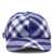 Burberry Burberry Hats Blue