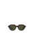 Ray-Ban Ray-Ban Sunglasses Brown