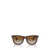 Ray-Ban Ray-Ban Sunglasses Brown