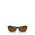 Persol Persol Sunglasses Brown