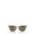 Oliver Peoples Oliver Peoples Sunglasses Brown