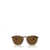 Ray-Ban Ray-Ban Sunglasses Brown