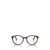 Persol Persol Eyeglasses Brown