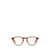 GARRETT LEIGHT Garrett Leight Eyeglasses Brown