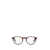 Persol Persol Eyeglasses Brown