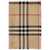 Burberry Burberry Scarves Multicolor