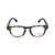 WEB EYEWEAR Web Eyewear Eyeglasses Brown