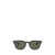 Ray-Ban Ray-Ban Sunglasses Black