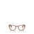 Persol Persol Eyeglasses BROWN