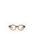 Oliver Peoples Oliver Peoples Eyeglasses RAINTREE