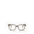 Oliver Peoples Oliver Peoples Eyeglasses RAINTREE