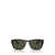 Persol Persol Sunglasses Brown