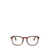 Persol Persol Eyeglasses Brown