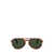 Persol Persol Sunglasses Brown