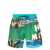 ETRO Etro Landscape Print Swim Shorts BLUE