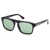 WEB EYEWEAR Web Eyewear Sunglasses Black