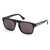 WEB EYEWEAR Web Eyewear Sunglasses Brown