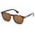 WEB EYEWEAR Web Eyewear Sunglasses Brown