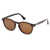 WEB EYEWEAR Web Eyewear Sunglasses Brown