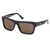 WEB EYEWEAR Web Eyewear Sunglasses Black