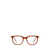 ZEGNA Zegna Eyeglasses SHINY DARK BROWN