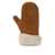 Isabel Marant Isabel Marant "Mulfi" Gloves Beige