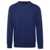 Ralph Lauren Polo Ralph Lauren Sweaters BLUE