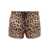 Dolce & Gabbana Brown All-Over Leopard Print Shorts Swimsuit In Technical Fabric Man BROWN