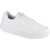 Joma C.Platea Low Men 2432 White