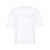 AXEL ARIGATO Axel Arigato T-Shirts WHITE