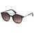 WEB EYEWEAR Web Eyewear Sunglasses Brown