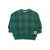 MINI RODINI Check aop sweatshirt Green