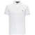 Ralph Lauren White Fitted Polo Shirt With Logo In Cotton Man WHITE