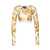 Versace Jeans Couture Versace Jeans Couture Top GOLD