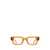 AKILA Akila Eyeglasses BURNT ORANGE