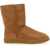 UGG Shoe Classic Short Ii BROWN