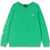 Ralph Lauren Ls Cn-Knitshirts-Sweatshirts GREEN