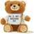 Moschino Teddy Bear Bag MULTICOLOUR