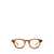 JULIUS TART OPTICAL Julius Tart Optical Eyeglasses Brown